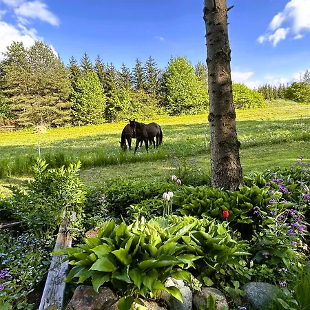 Masuria Hut Holiday home