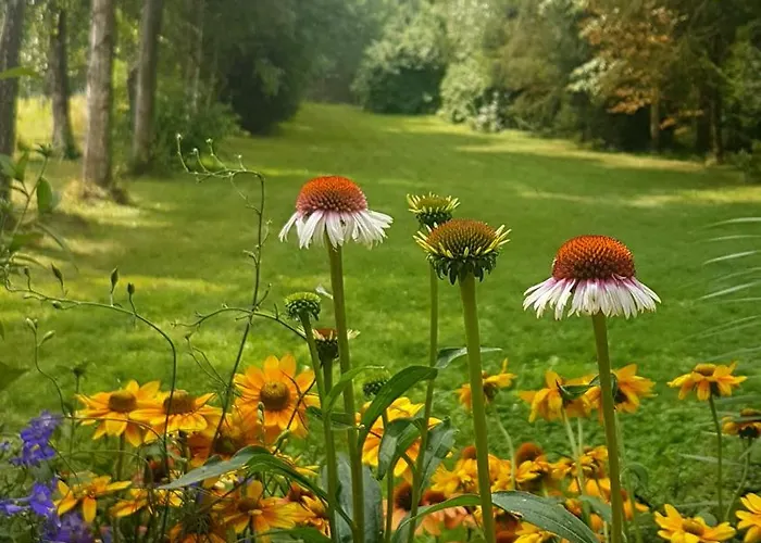Semesterbostad Masuria Hut Mrągowo