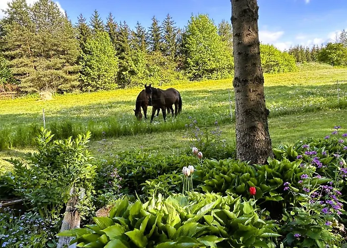 Masuria Hut Semesterbostad